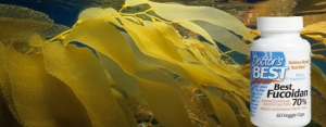 thuocfucoidan