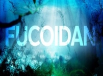 fucoidan