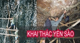 KHAITHACYENSAO