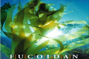 Fucoidan_Seaweed
