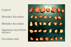 fucoidan_3