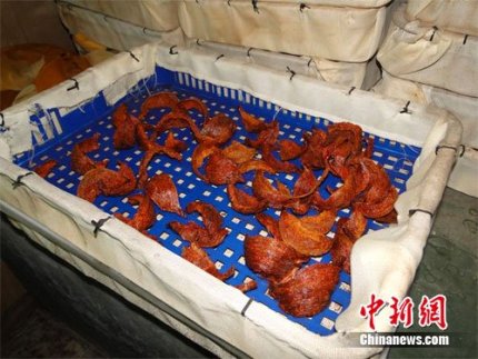 Yến sào được nhuộm đỏ thành… yến huyết thượng hạng
