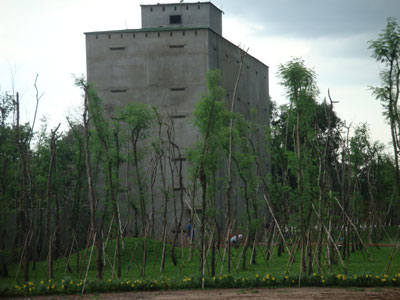 Nuôi chim yến